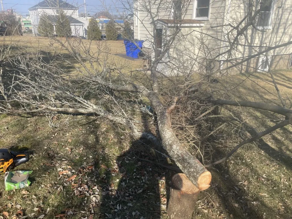 Trusted residential landscaping in Fall River, MA by All City Lawn Care