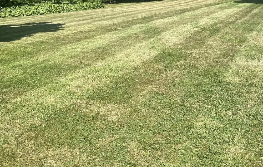 Professional garden landscaping experts serving Fall River, MA - All City Lawn Care