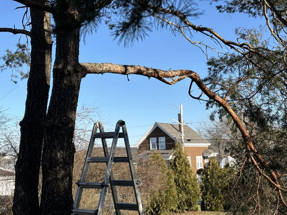 Affordable landscaping services for beautiful yards across Fall River, MA - All City Lawn Care