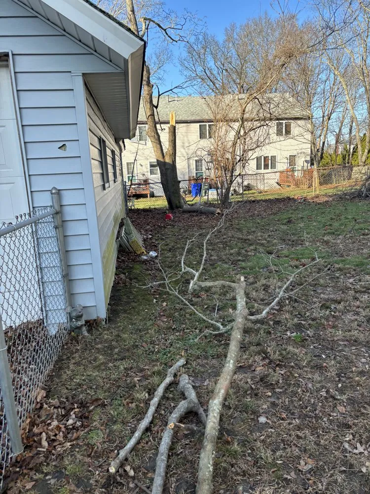 Professional landscaping services in Fall River, MA by All City Lawn Care