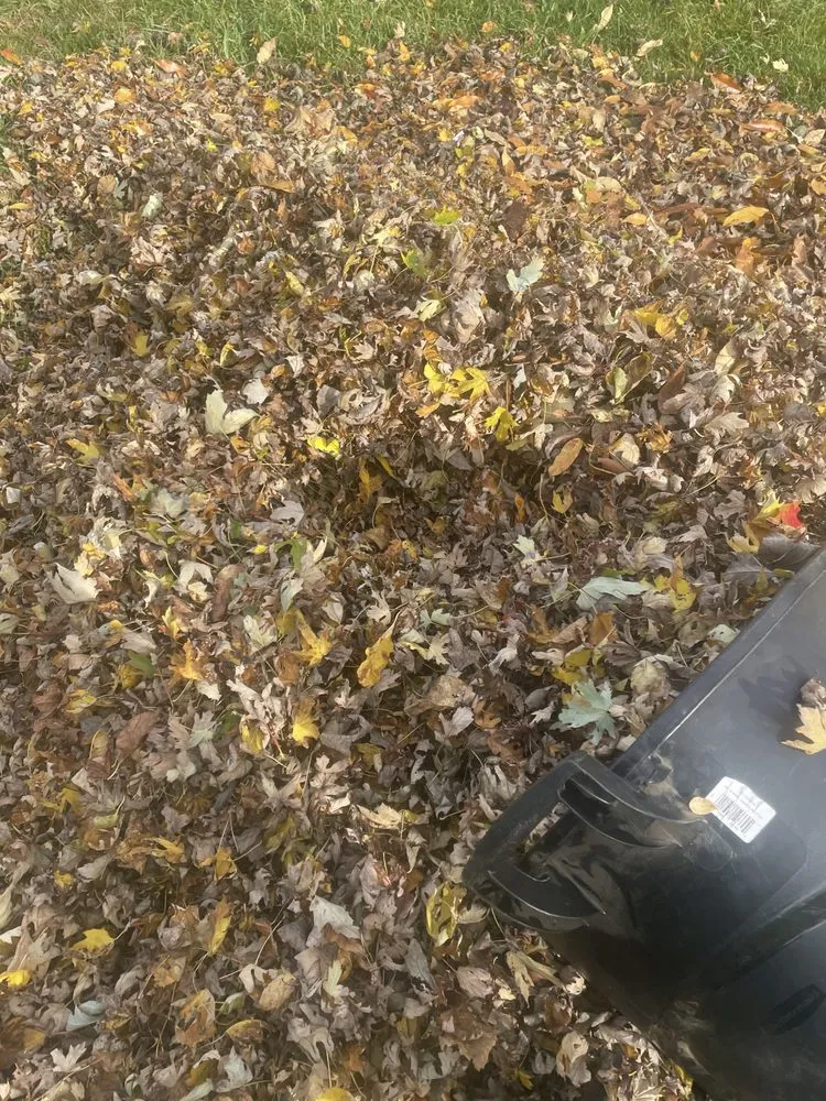 Professional lawn care service in Fall River, MA by All City Lawn Care