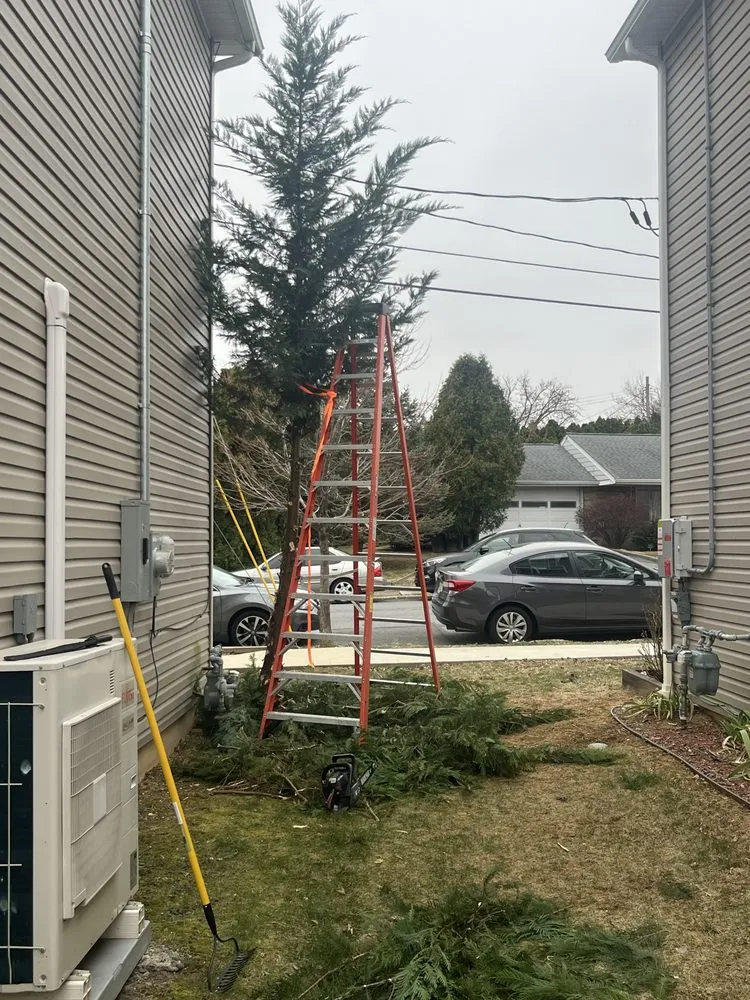 Professional outdoor landscaping for beautiful yards in Reading, PA by All Clean Lawn Care and More