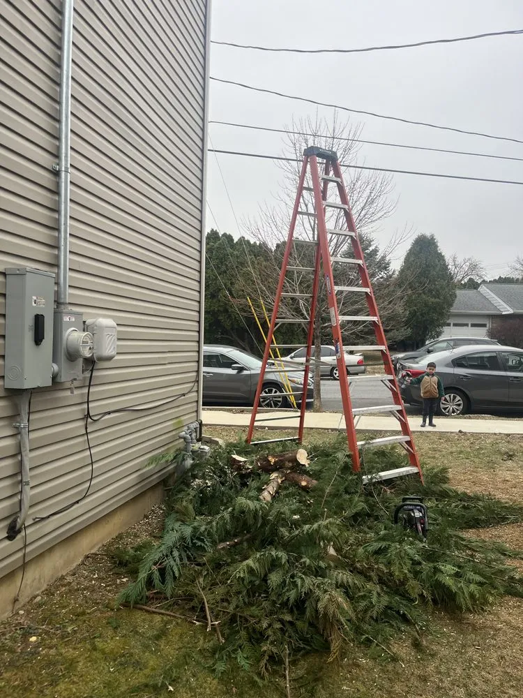 Professional lawn care service in Reading, PA by All Clean Lawn Care and More