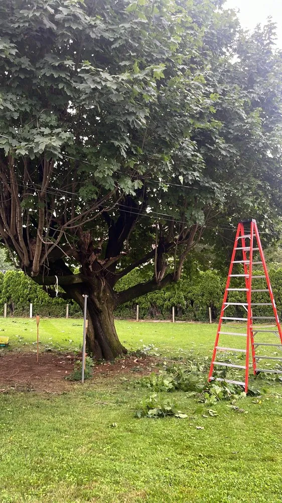 Custom garden landscaping experts serving Reading, PA - All Clean Lawn Care and More