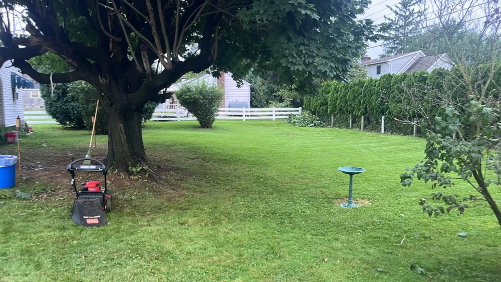 Affordable yard cleanup service in Reading, PA - All Clean Lawn Care and More