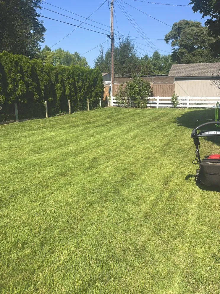 Reliable landscaping services experts serving Reading, PA - All Clean Lawn Care and More