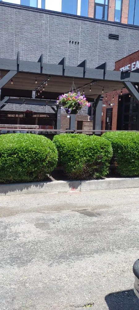 Local yard cleanup service in Columbus, OH by All Cleaning and Landscaping