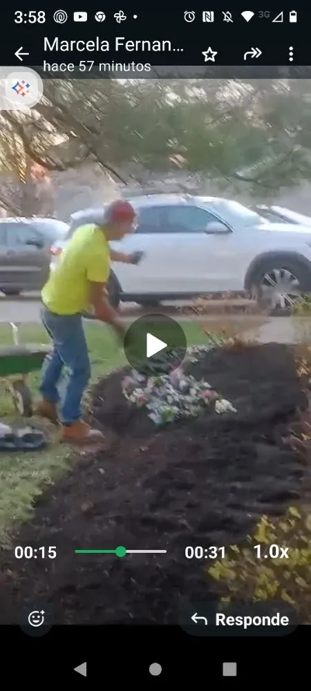 Custom yard maintenance experts serving Columbus, OH - All Cleaning and Landscaping