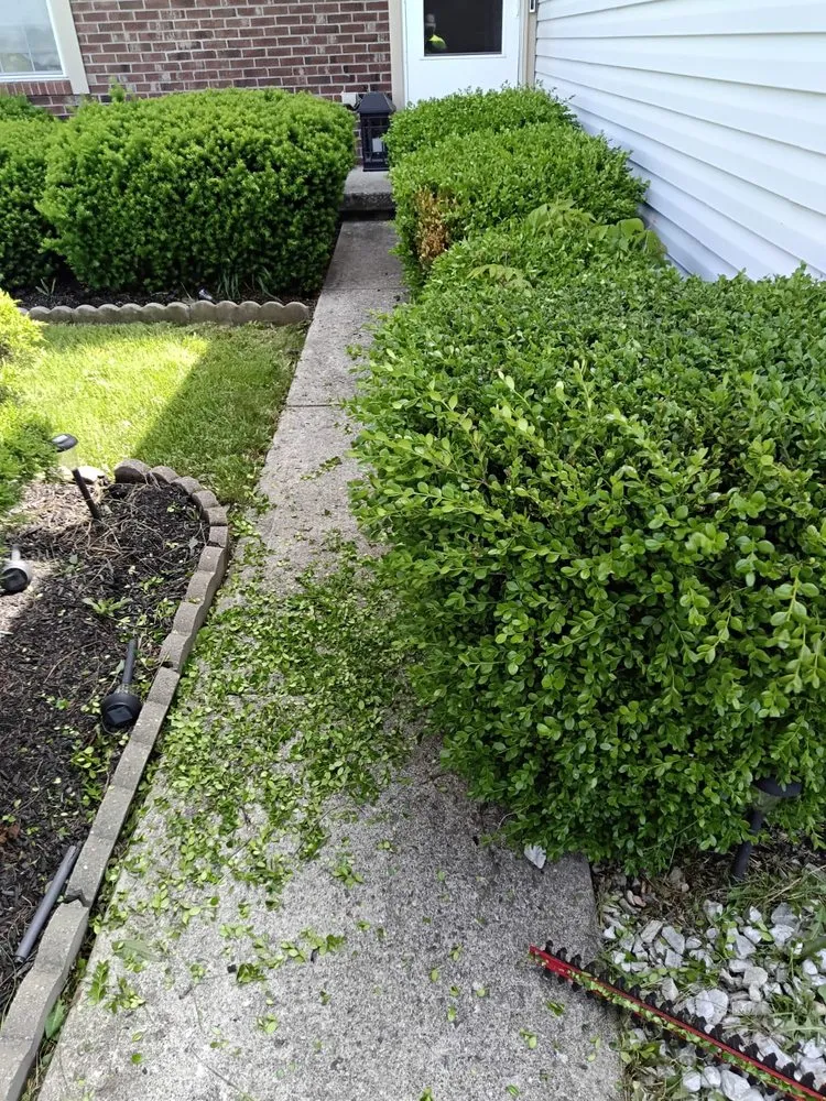 Local landscape installation near you across Columbus, OH - All Cleaning and Landscaping