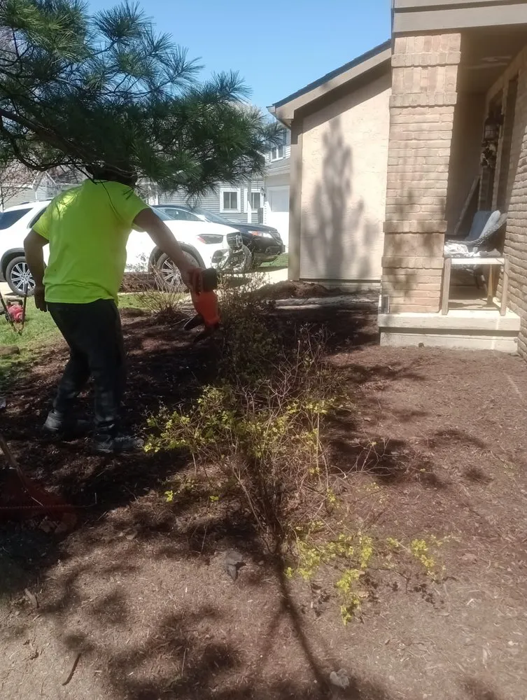 Affordable garden landscaping for year-round maintenance in Columbus, OH by All Cleaning and Landscaping