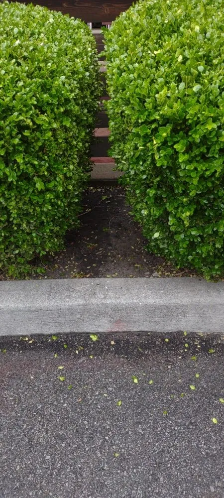 Trusted landscaping services in Columbus, OH - All Cleaning and Landscaping