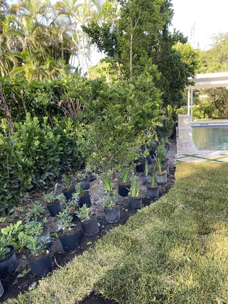 Trusted residential landscaping near you across Palm Bay, FL - All Clear Junk Removal