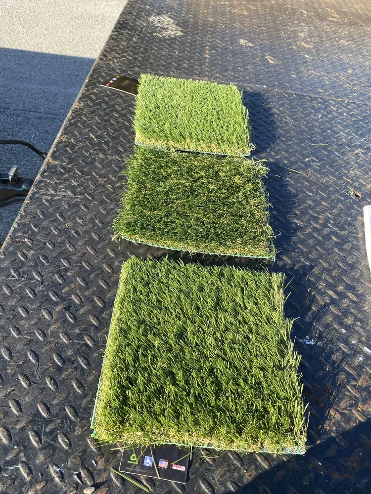 Professional landscaping services in Palm Bay, FL by All Clear Junk Removal