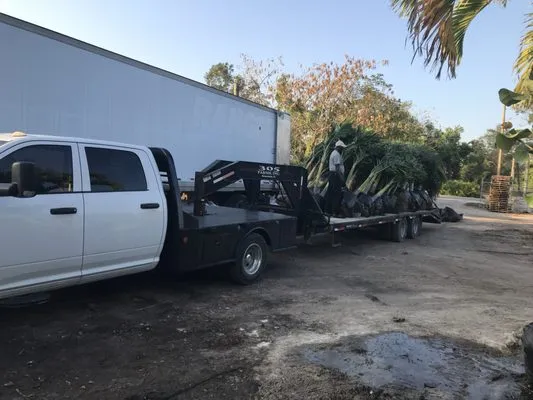 All Clear Junk Removal Logo