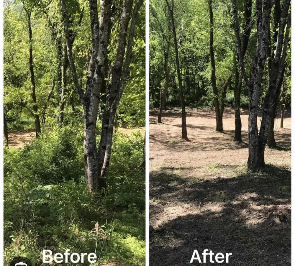 Professional lawn mowing service near you across Blackstone, VA - All Clear Land Clearing