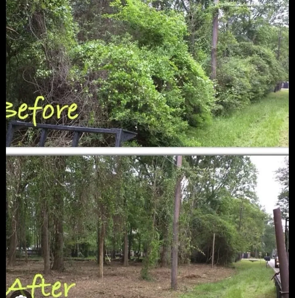 Custom lawn mowing service experts serving Blackstone, VA - All Clear Land Clearing