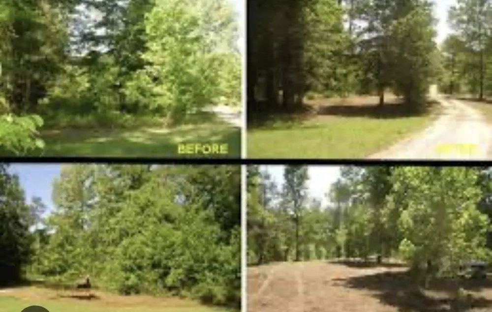 Expert outdoor landscaping in Blackstone, VA - All Clear Land Clearing