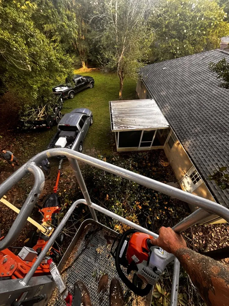 Custom lawn mowing service experts serving Foley, AL - All Clear Land Worx