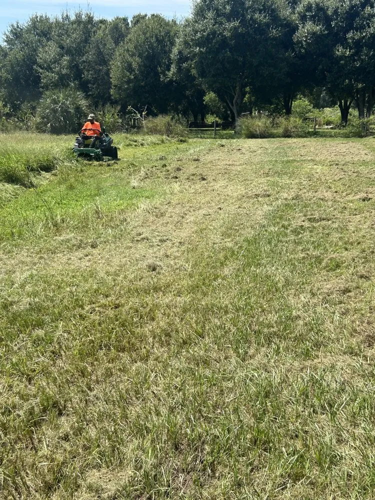 Top-rated yard cleanup service experts serving clearwater, FL - All Clear Landscaping and Tree Service
