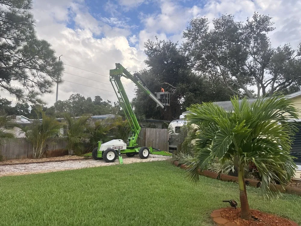 Professional yard maintenance in clearwater, FL by All Clear Landscaping and Tree Service