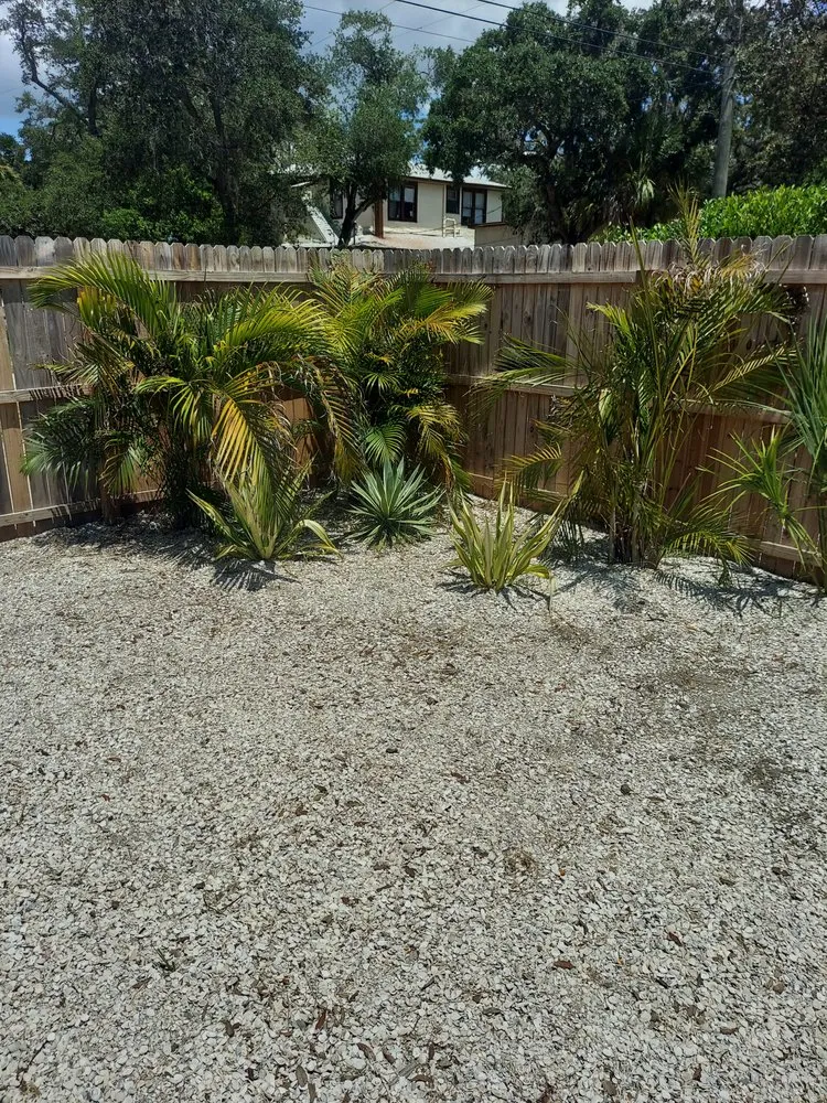 Expert lawn mowing service experts serving clearwater, FL - All Clear Landscaping and Tree Service