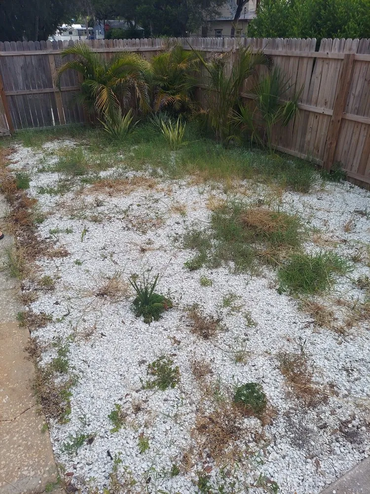 Expert landscape design for year-round maintenance across clearwater, FL - All Clear Landscaping and Tree Service