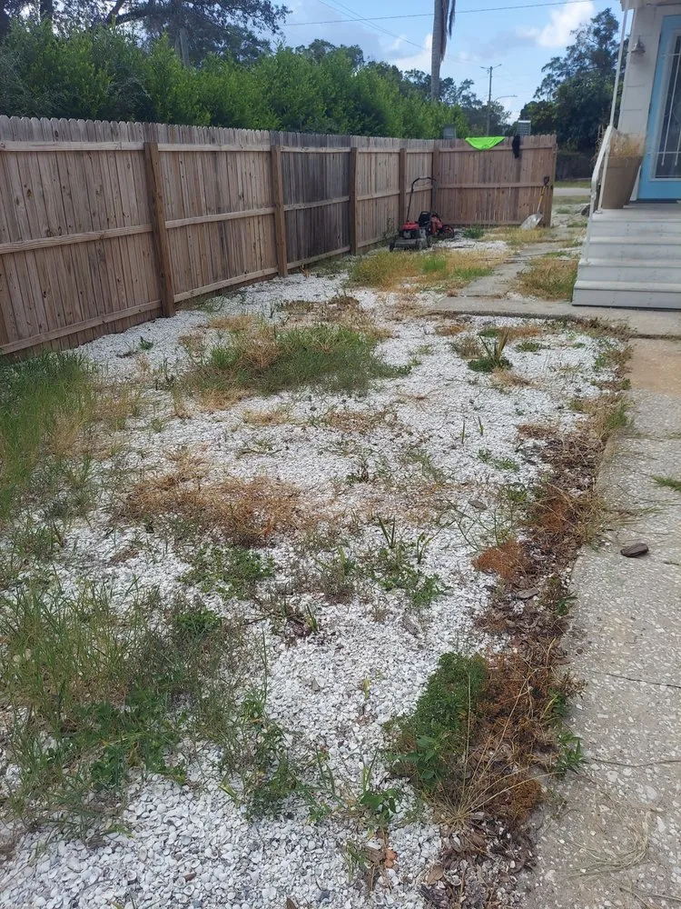 Reliable outdoor landscaping for outdoor upgrades in clearwater, FL by All Clear Landscaping and Tree Service