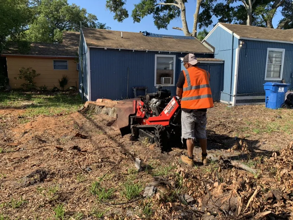 Expert garden landscaping in clearwater, FL by All Clear Landscaping and Tree Service