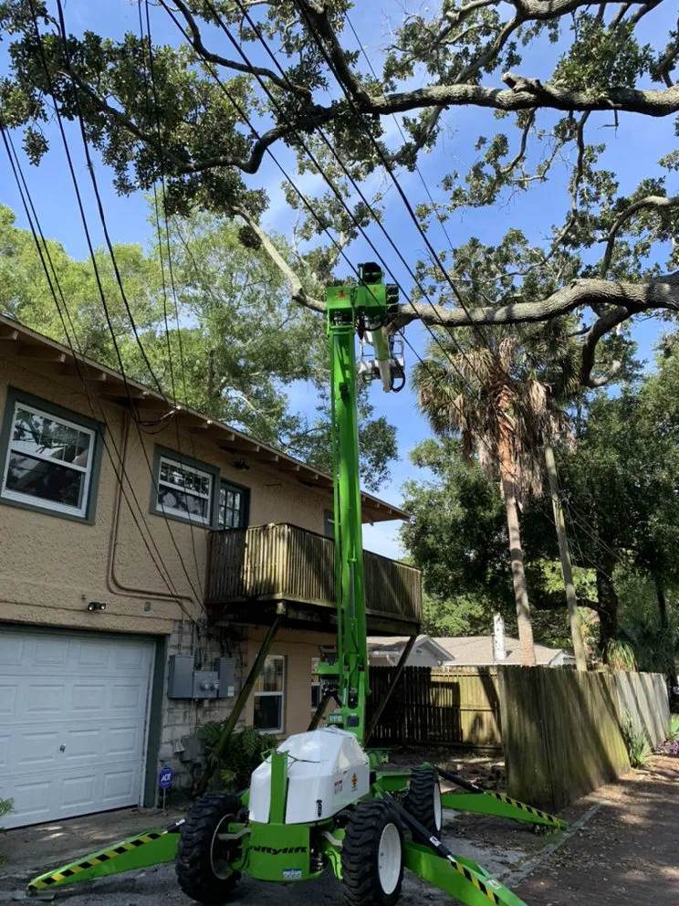 Professional yard maintenance for beautiful yards across clearwater, FL - All Clear Landscaping and Tree Service