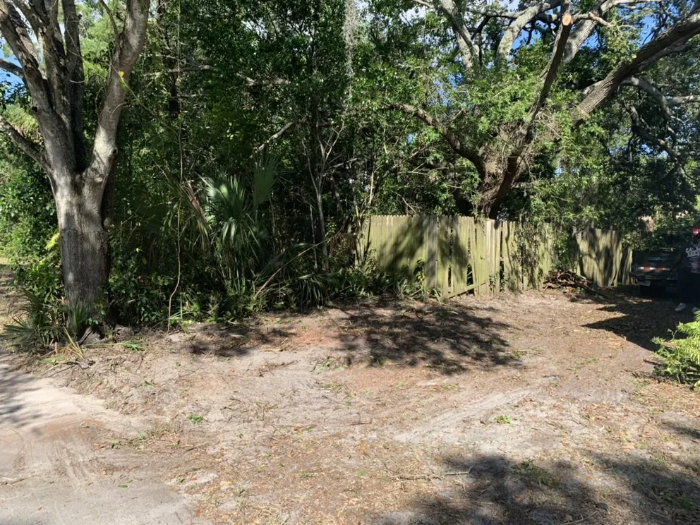 Local yard cleanup service for residential properties in clearwater, FL by All Clear Landscaping and Tree Service