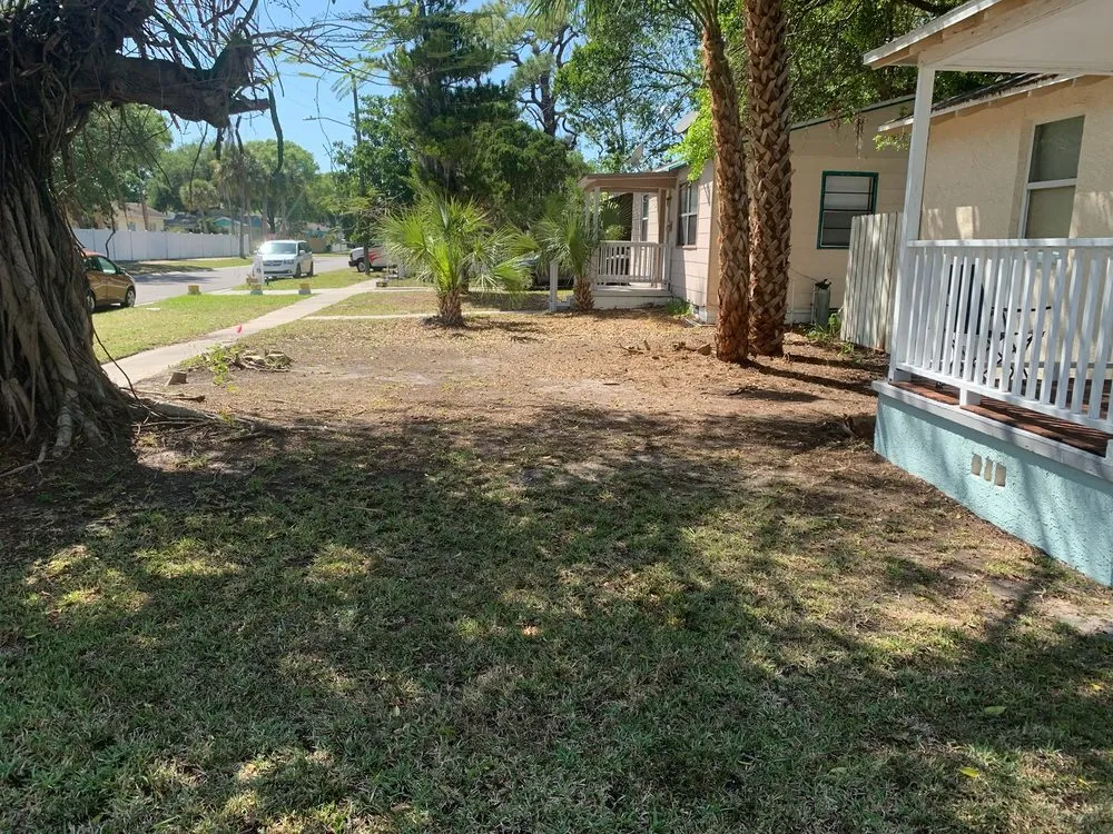 Trusted residential landscaping experts serving clearwater, FL - All Clear Landscaping and Tree Service