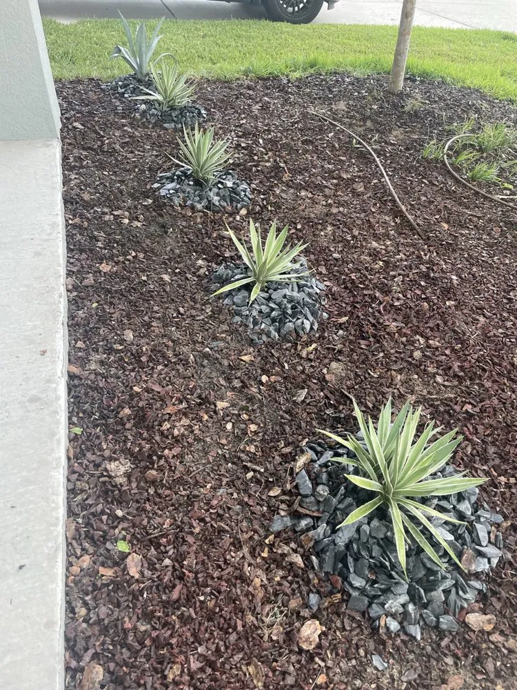 Custom lawn care service for homes in clearwater, FL by All Clear Landscaping and Tree Service