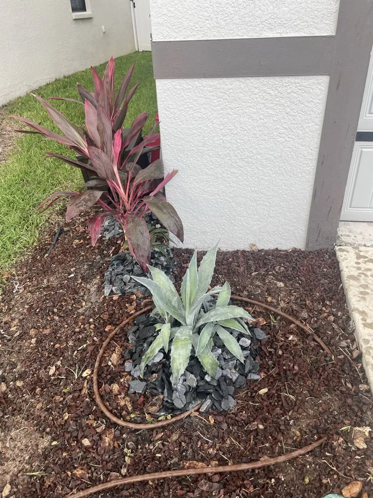 Reliable landscape installation experts serving clearwater, FL - All Clear Landscaping and Tree Service