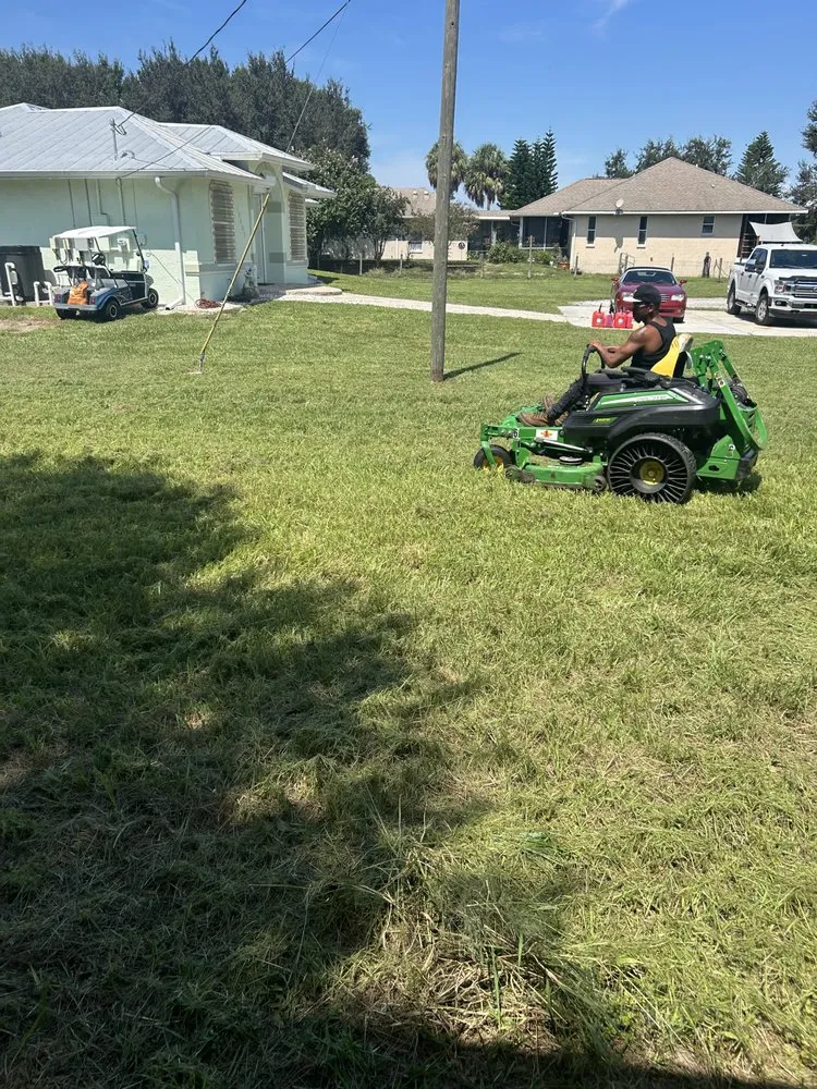 Professional residential landscaping for beautiful yards across clearwater, FL - All Clear Landscaping and Tree Service