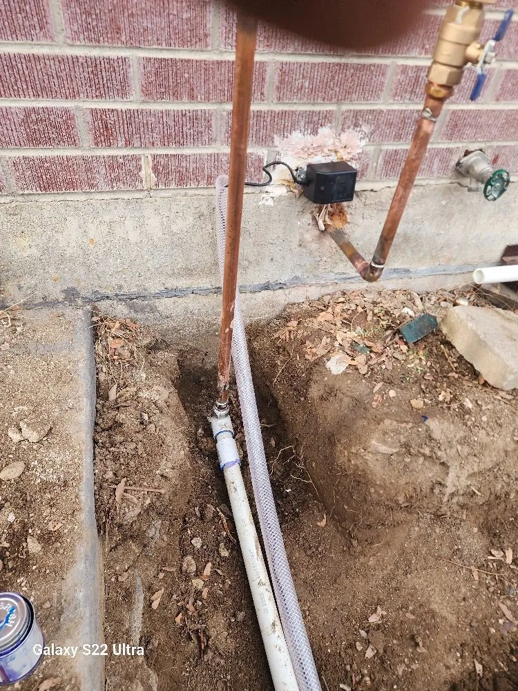 Professional yard maintenance in Denver, CO by All Concrete Denver LLC