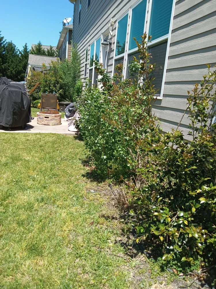 Trusted yard cleanup service for homes in Waxhaw, NC by All Country Lawn Care