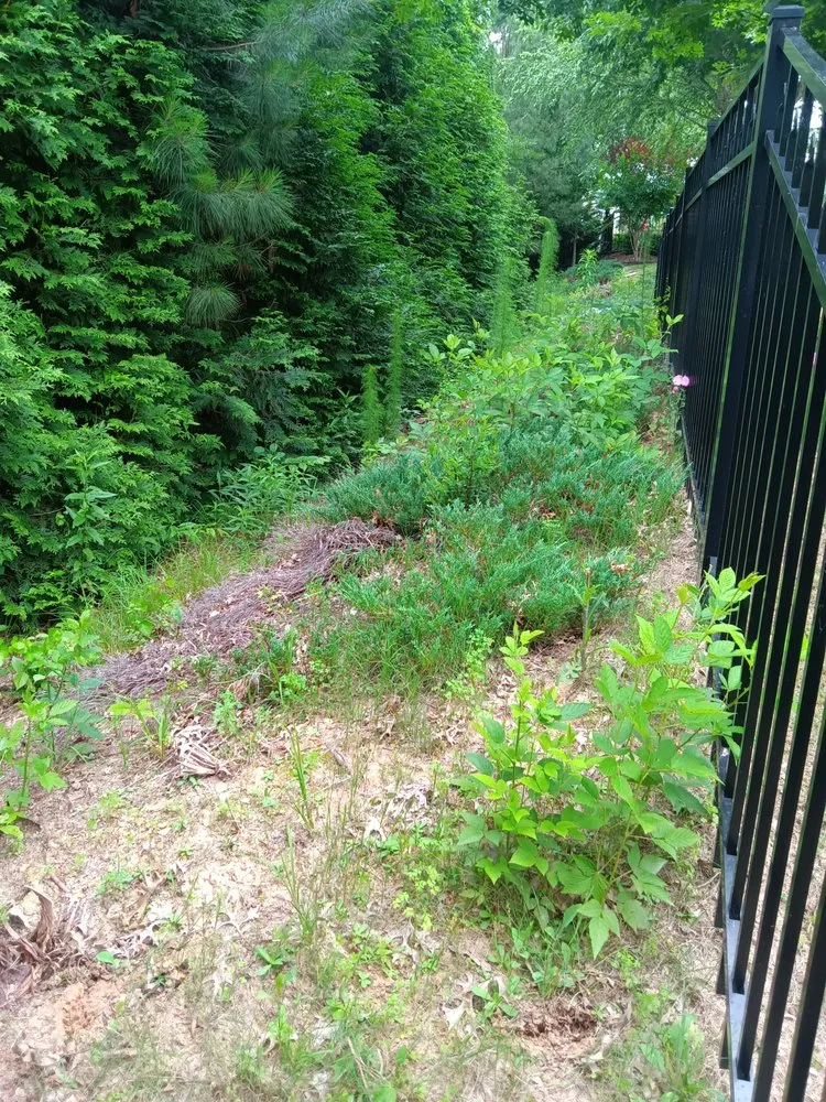 Professional garden landscaping in Waxhaw, NC - All Country Lawn Care