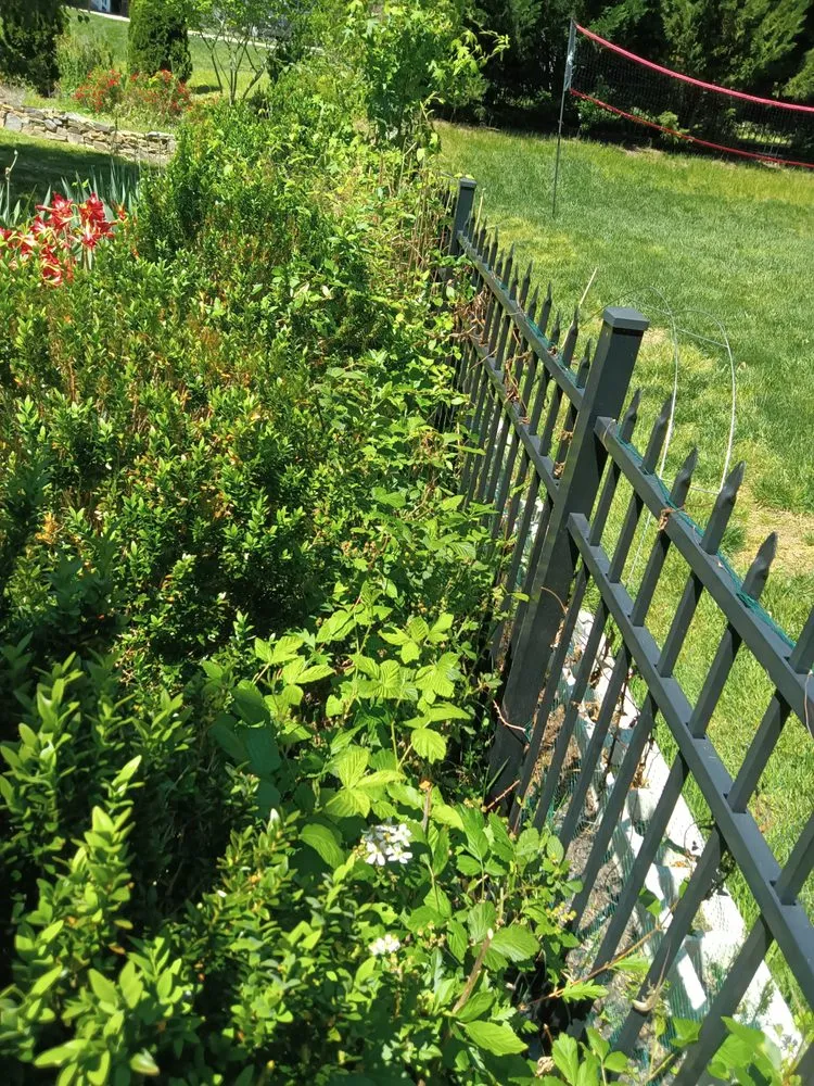 Affordable yard maintenance for residential properties across Waxhaw, NC - All Country Lawn Care