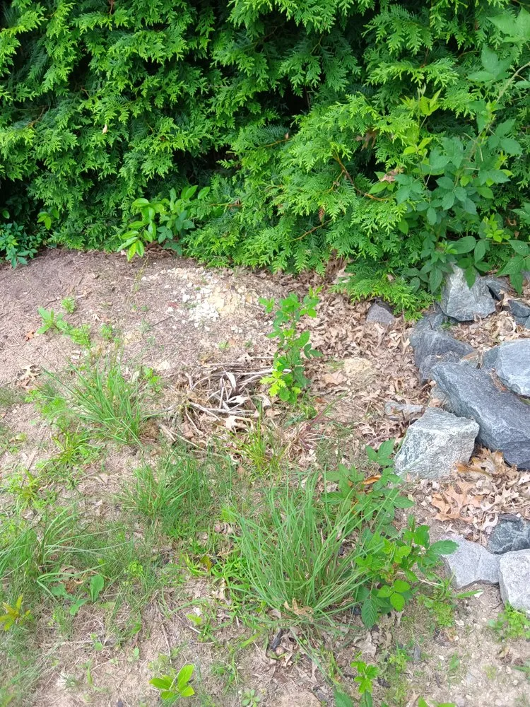 Professional outdoor landscaping in Waxhaw, NC - All Country Lawn Care