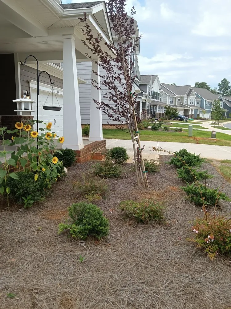 Reliable lawn mowing service in Waxhaw, NC by All Country Lawn Care