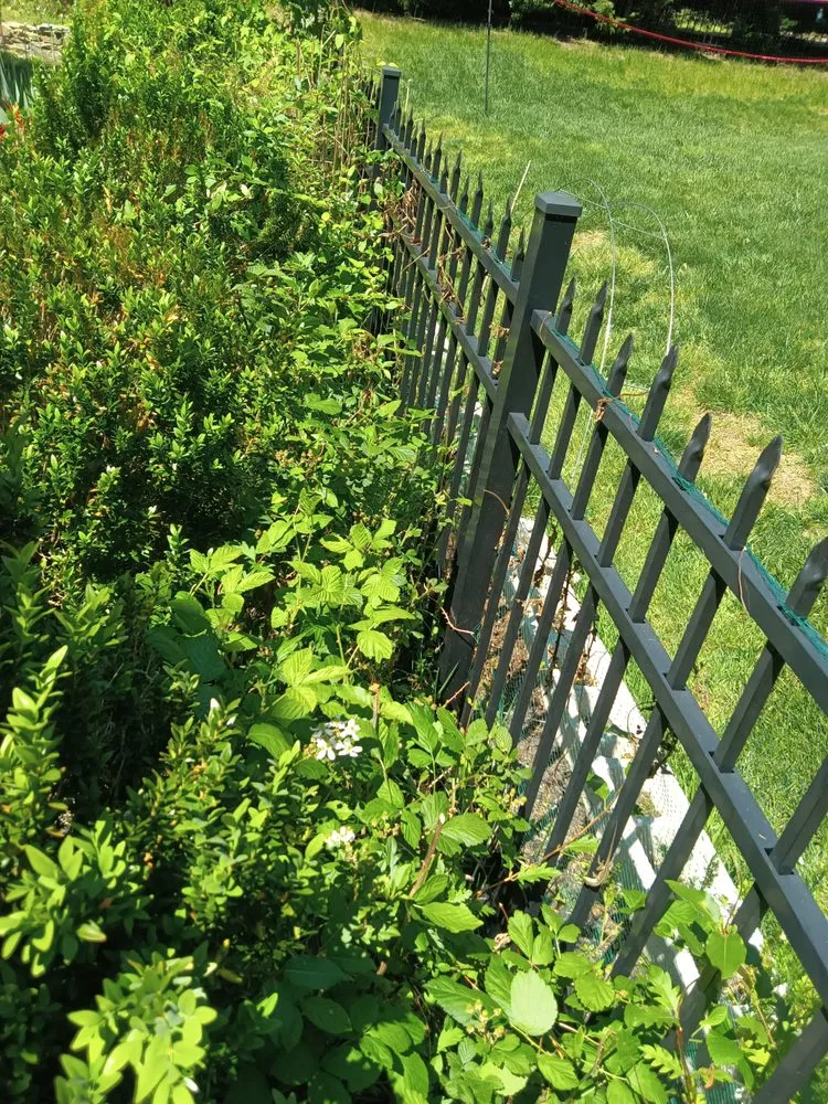 Affordable lawn mowing service in Waxhaw, NC by All Country Lawn Care