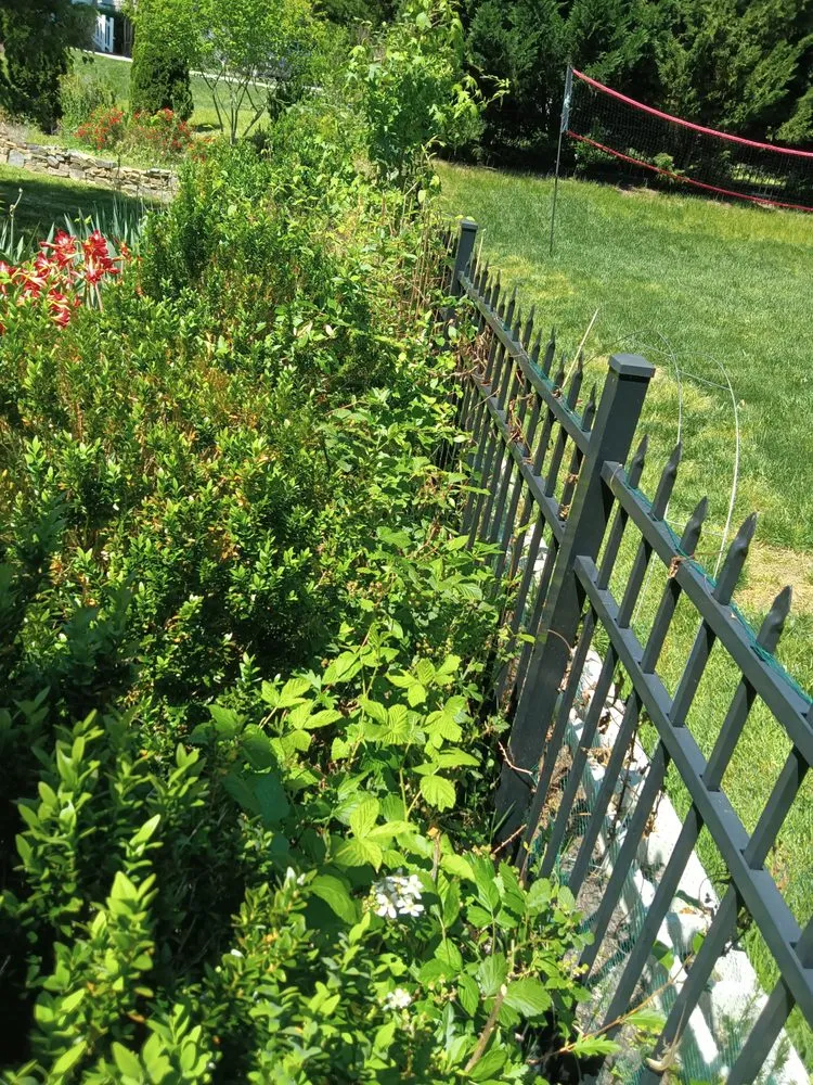 Custom garden landscaping in Waxhaw, NC - All Country Lawn Care