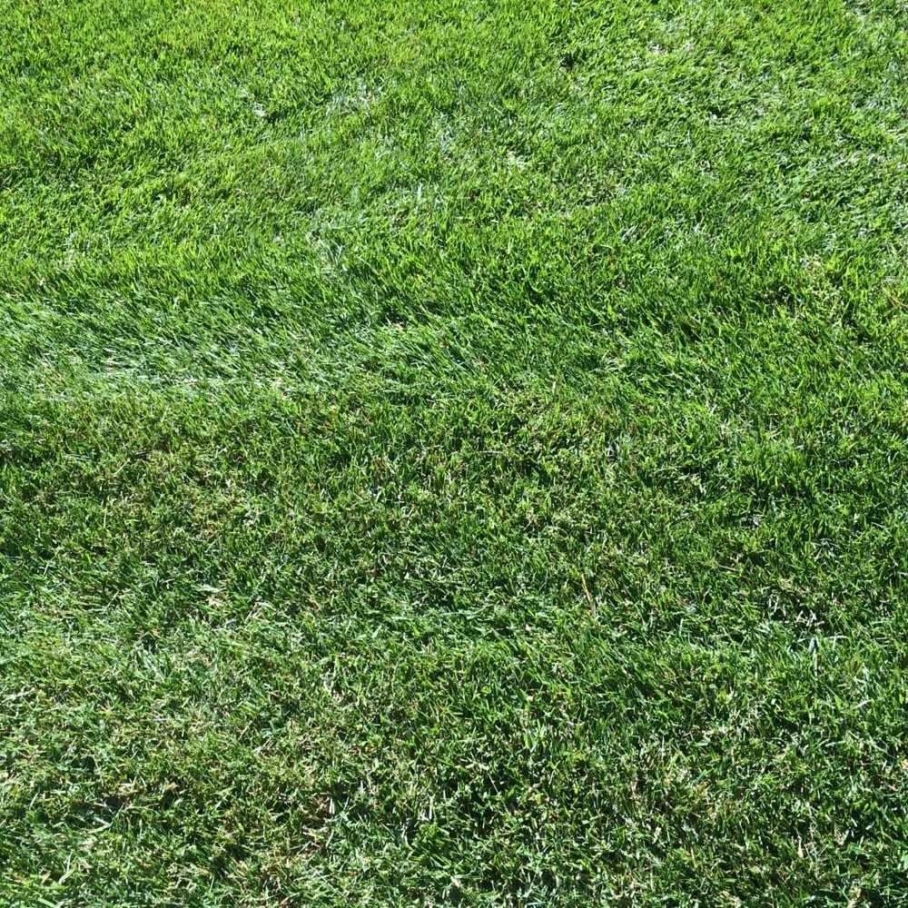 Professional landscape design in Mahwah, NJ by All County Lawn Care