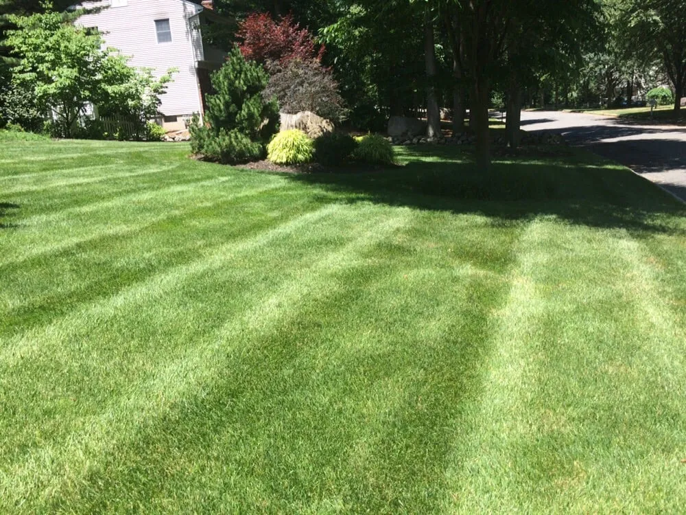 Top-rated outdoor landscaping for residential properties in Mahwah, NJ by All County Lawn Care
