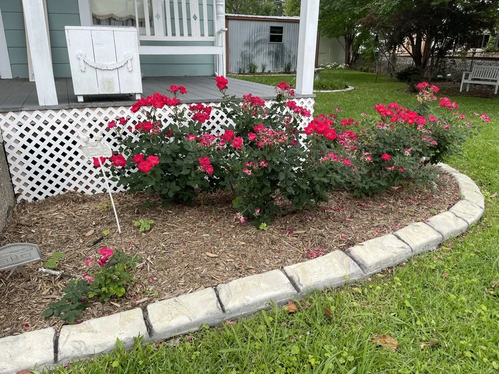 Reliable residential landscaping in Livingston, TX - All Curbs Landscaping Services