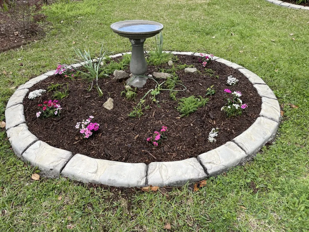 Affordable lawn care service for year-round maintenance across Livingston, TX - All Curbs Landscaping Services