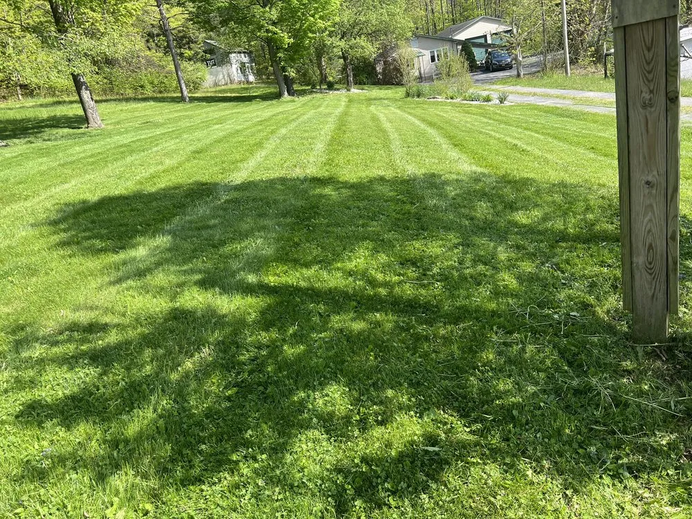 Reliable yard maintenance for residential properties in Stump Creek, PA by All Cut Up Lawncare & Landscape