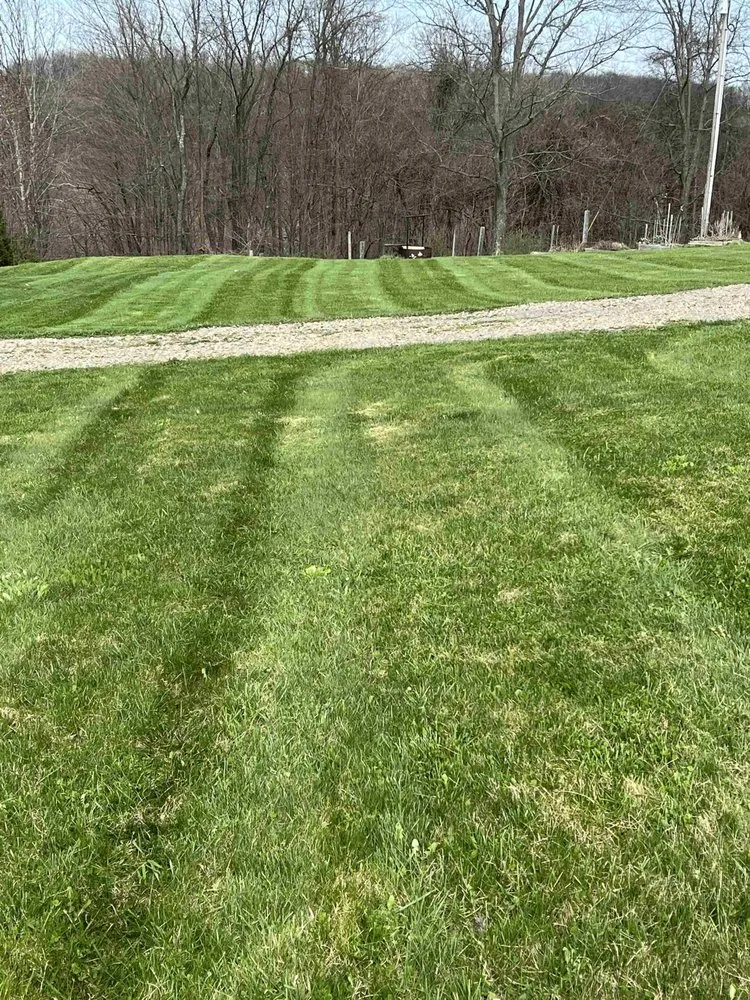 Trusted garden landscaping for homes in Stump Creek, PA by All Cut Up Lawncare & Landscape