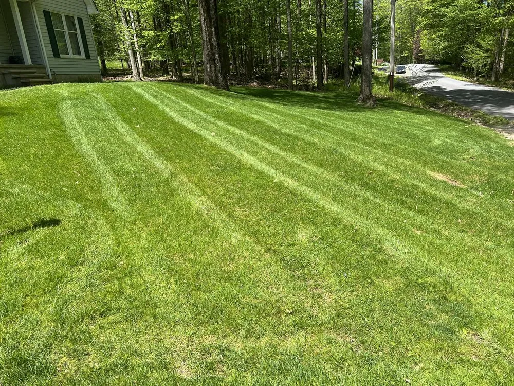 Trusted lawn care service in Stump Creek, PA by All Cut Up Lawncare & Landscape