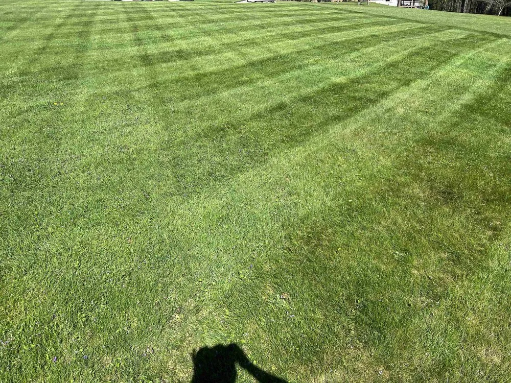 Custom yard cleanup service for beautiful yards in Stump Creek, PA by All Cut Up Lawncare & Landscape